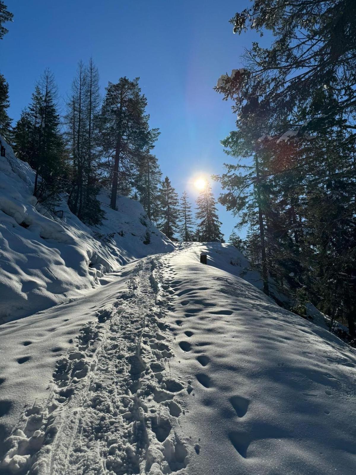 Alpenlandhaus Menardi Ζέεφελντ Εξωτερικό φωτογραφία