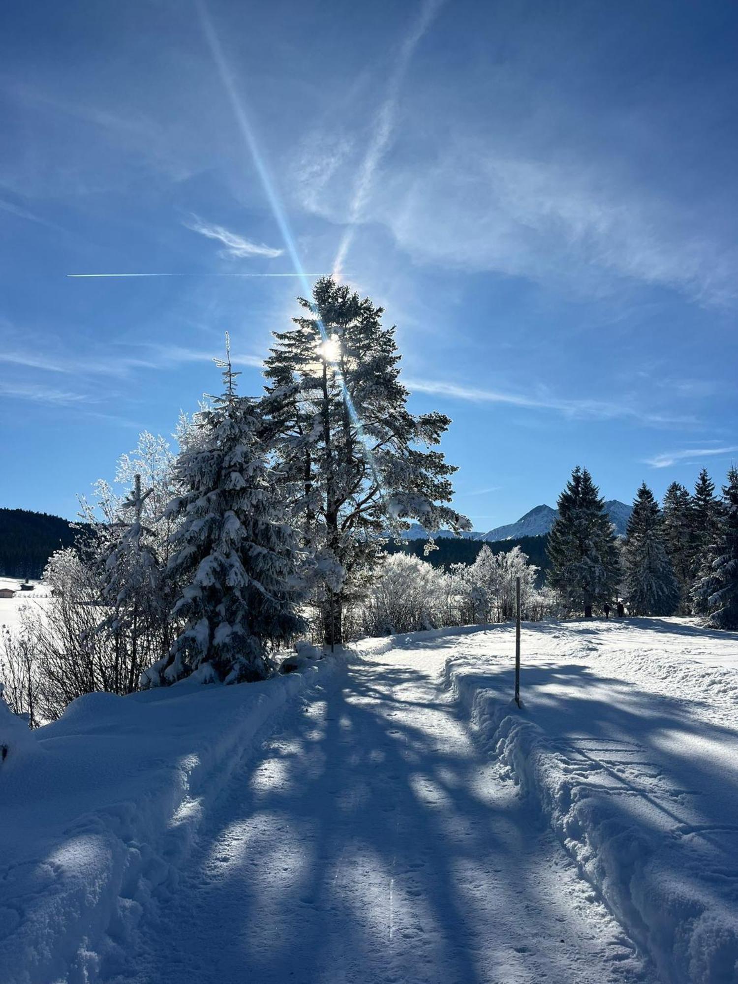 Alpenlandhaus Menardi Ζέεφελντ Εξωτερικό φωτογραφία